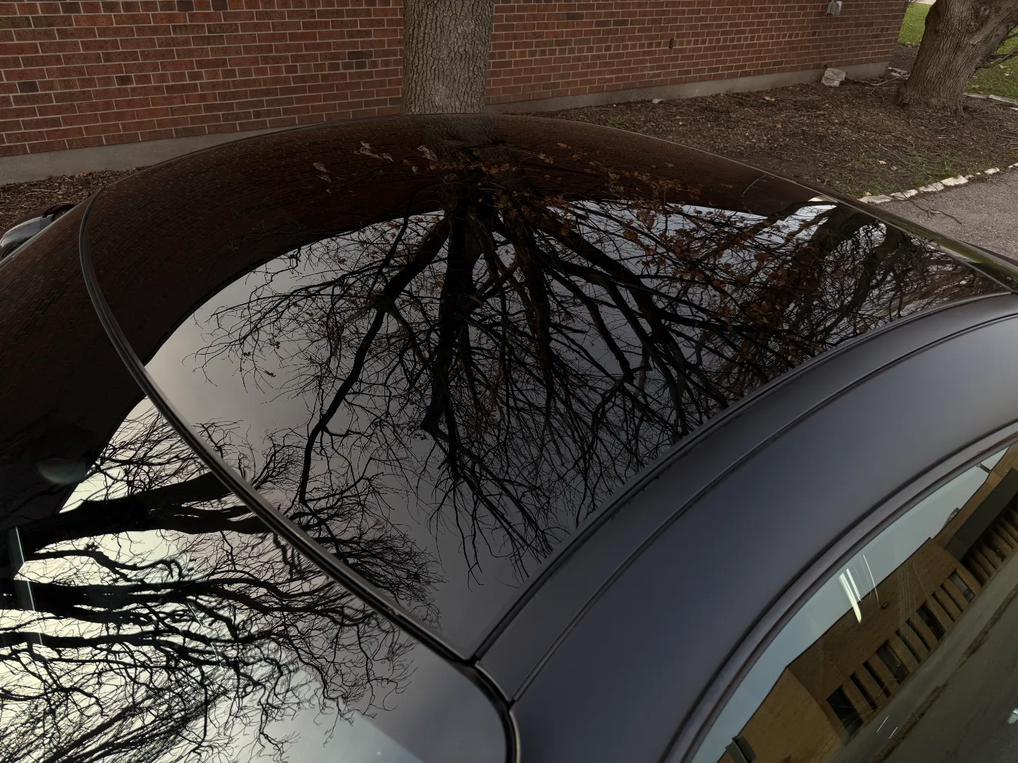 Mercedes Benz AMG GTC Coupe — photo 24