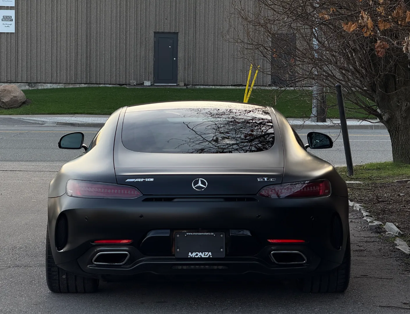 Mercedes Benz AMG GTC Coupe — photo 28