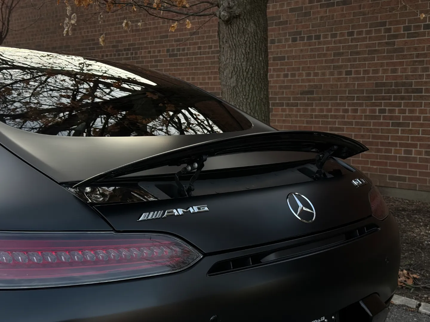 Mercedes Benz AMG GTC Coupe — photo 36
