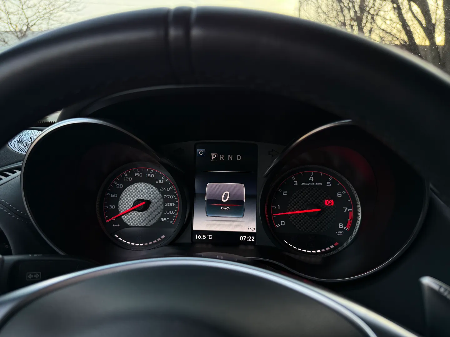 Mercedes Benz AMG GTC Coupe — photo 87