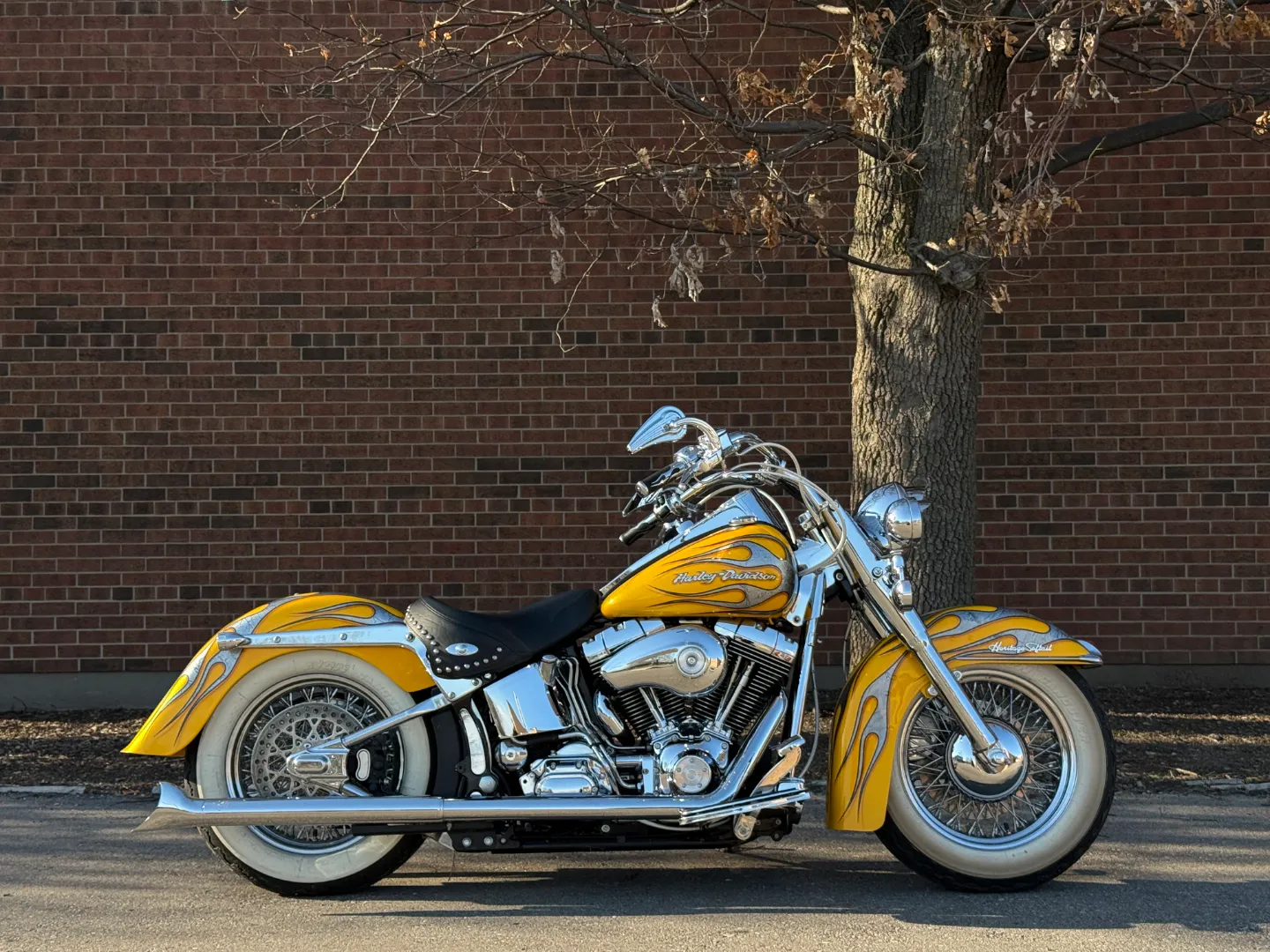 Harley Davidson Heritage Softail Custom — photo 24