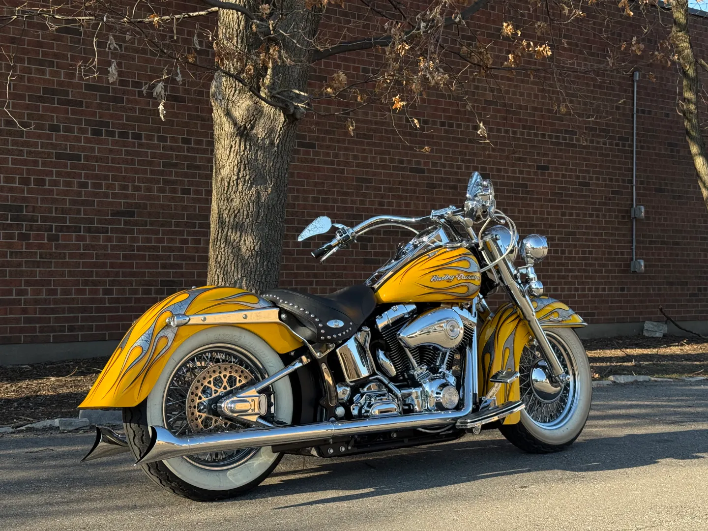 Harley Davidson Heritage Softail Custom — photo 31