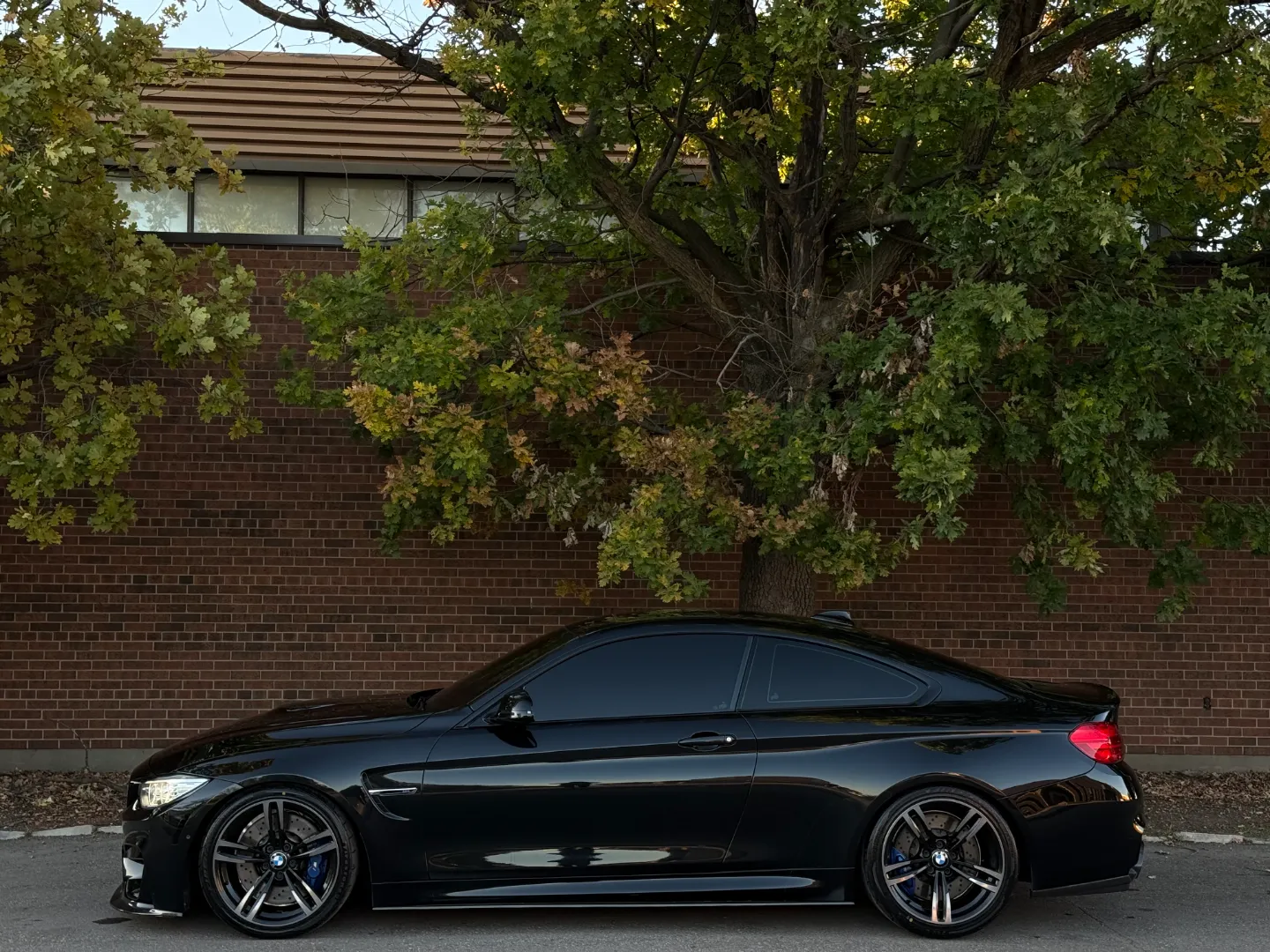 BMW M4 Coupe 6 Speed Manual — photo 11