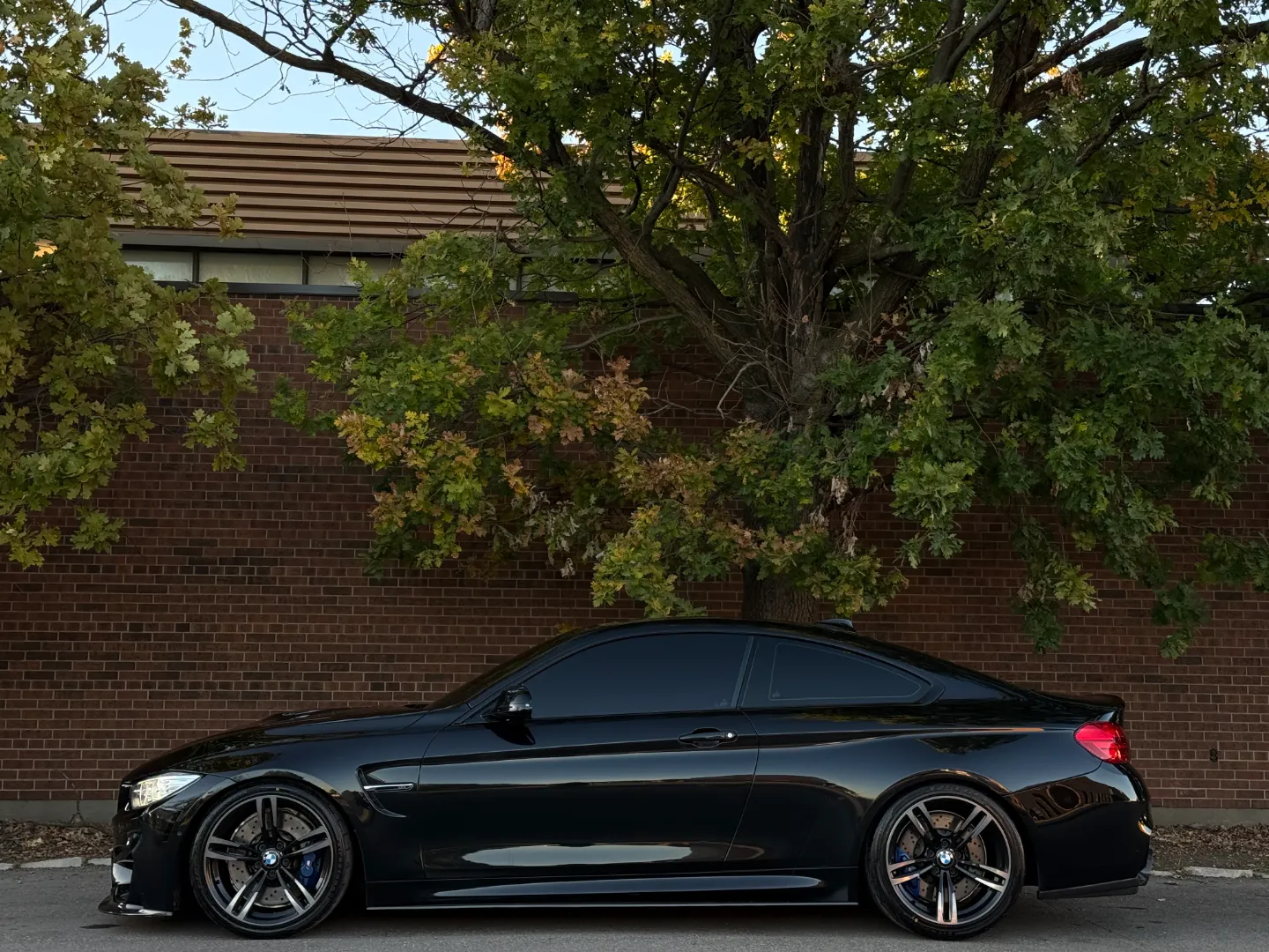 BMW M4 Coupe 6 Speed Manual — photo 12