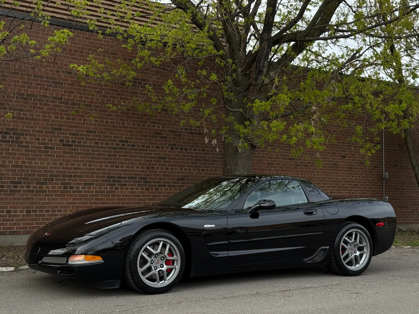Chevrolet Corvette Z06 — photo 6