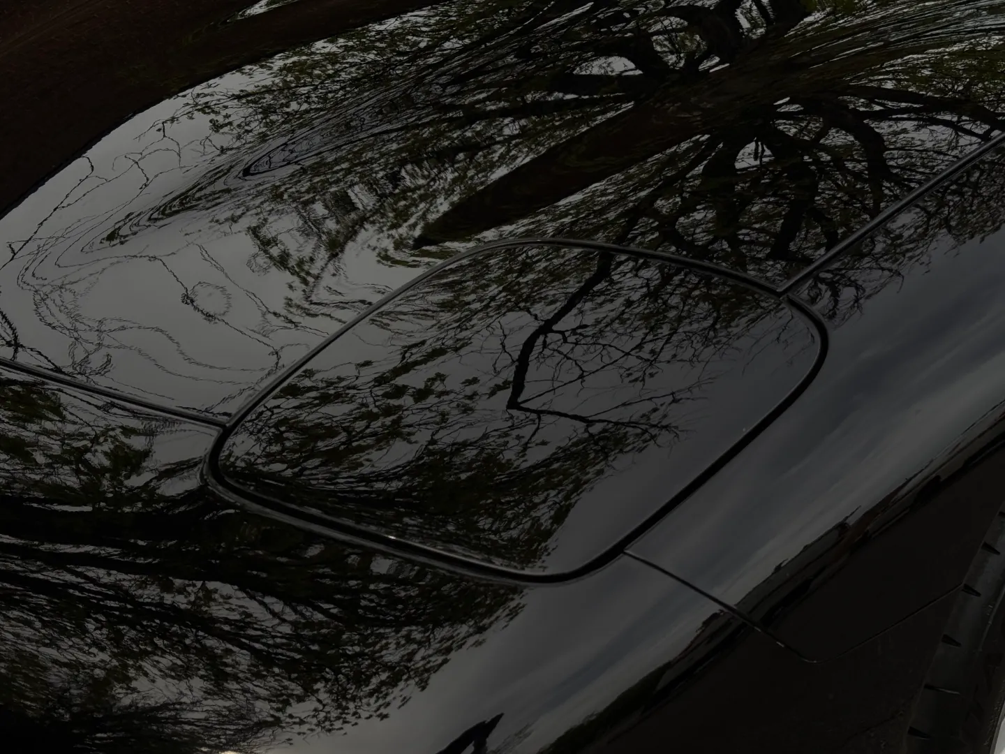 Chevrolet Corvette Z06 — photo 8