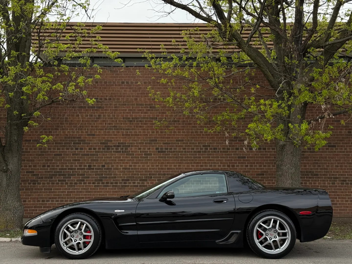 Chevrolet Corvette Z06 — photo 11