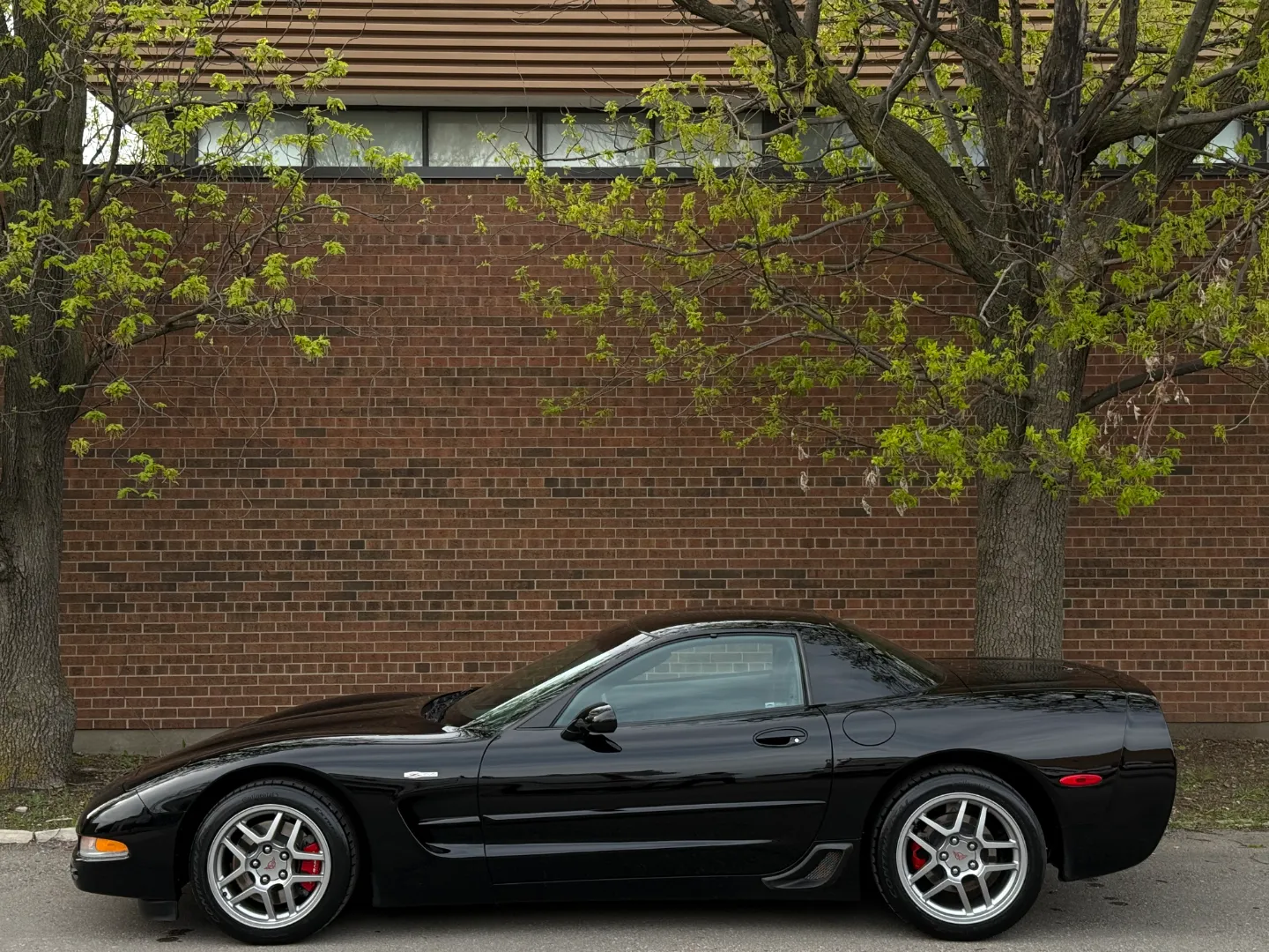 Chevrolet Corvette Z06 — photo 12
