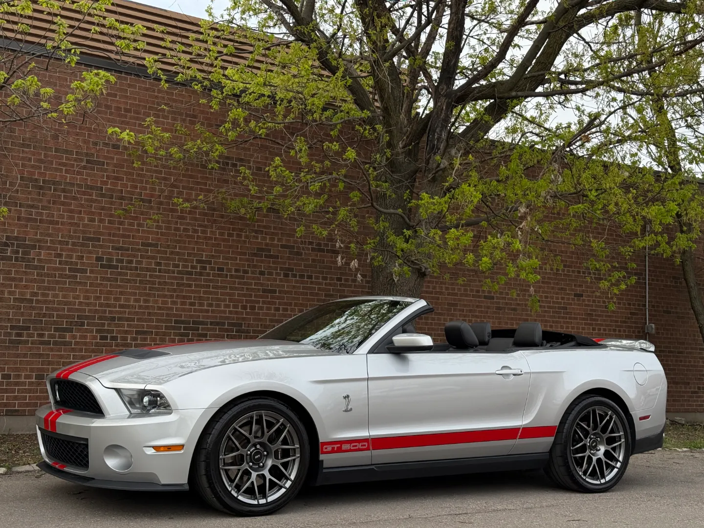 Ford Mustang Shelby GT500 6 Speed Manual Convertible — photo 9