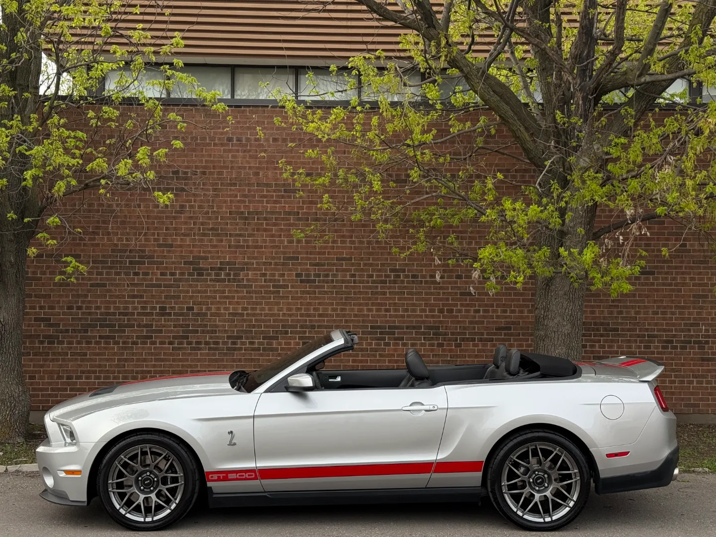 Ford Mustang Shelby GT500 6 Speed Manual Convertible — photo 10