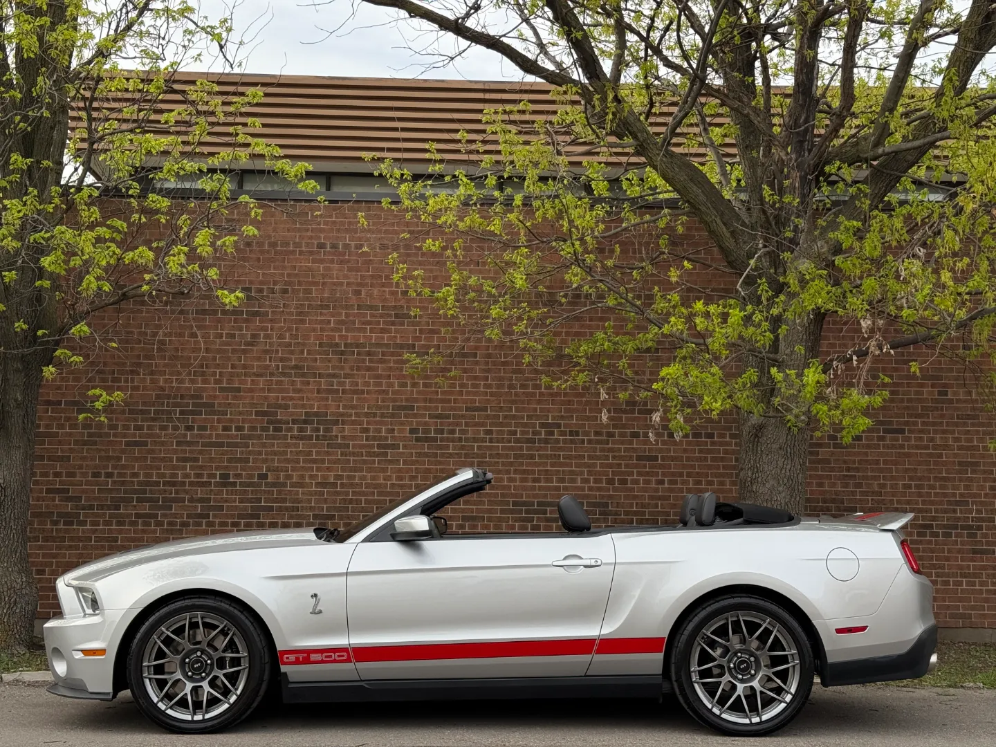 Ford Mustang Shelby GT500 6 Speed Manual Convertible — photo 11
