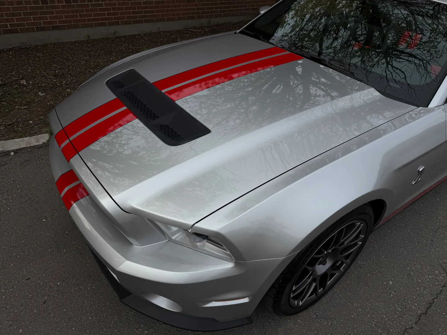 Ford Mustang Shelby GT500 6 Speed Manual Convertible — photo 19