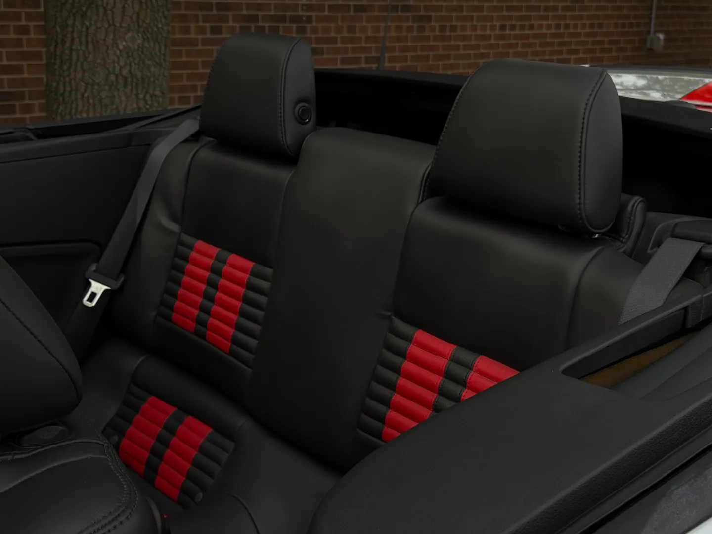 Ford Mustang Shelby GT500 6 Speed Manual Convertible — photo 25