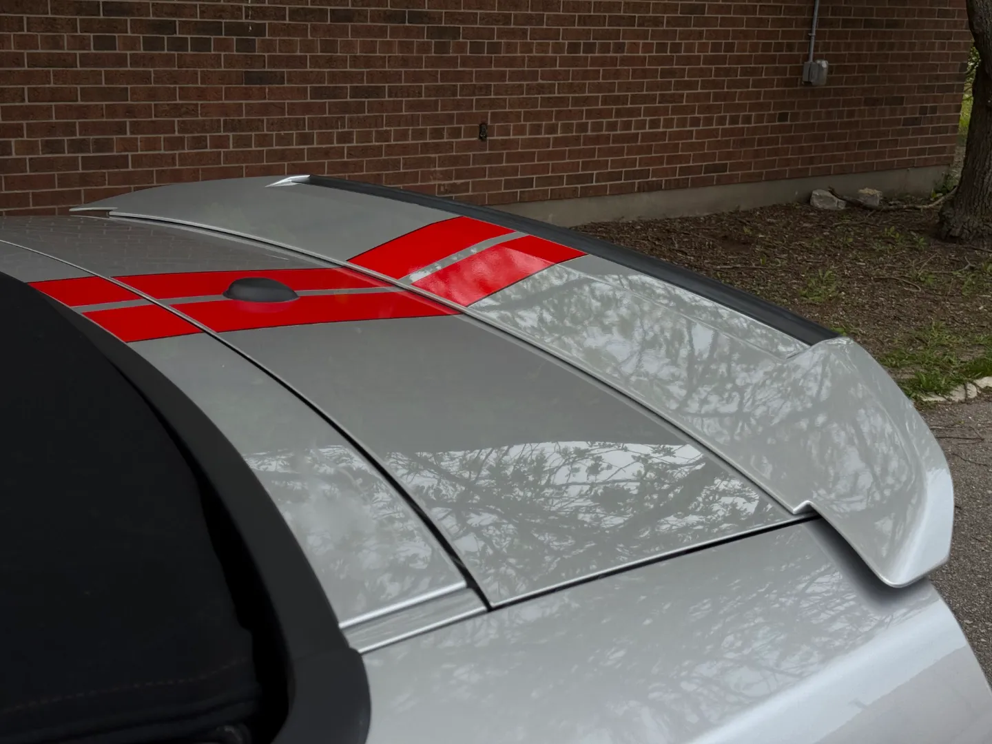 Ford Mustang Shelby GT500 6 Speed Manual Convertible — photo 26