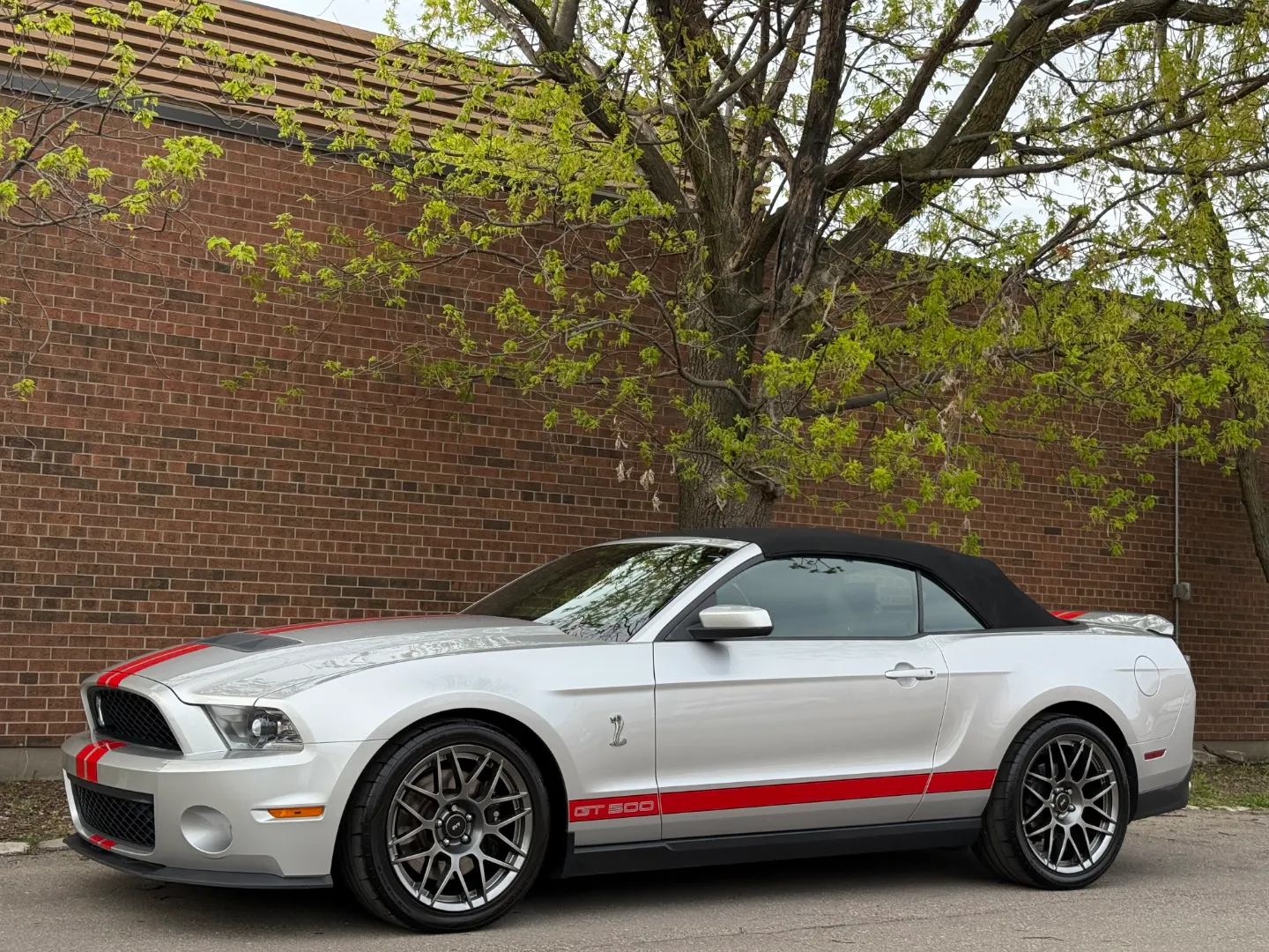 Ford Mustang Shelby GT500 6 Speed Manual Convertible — photo 37