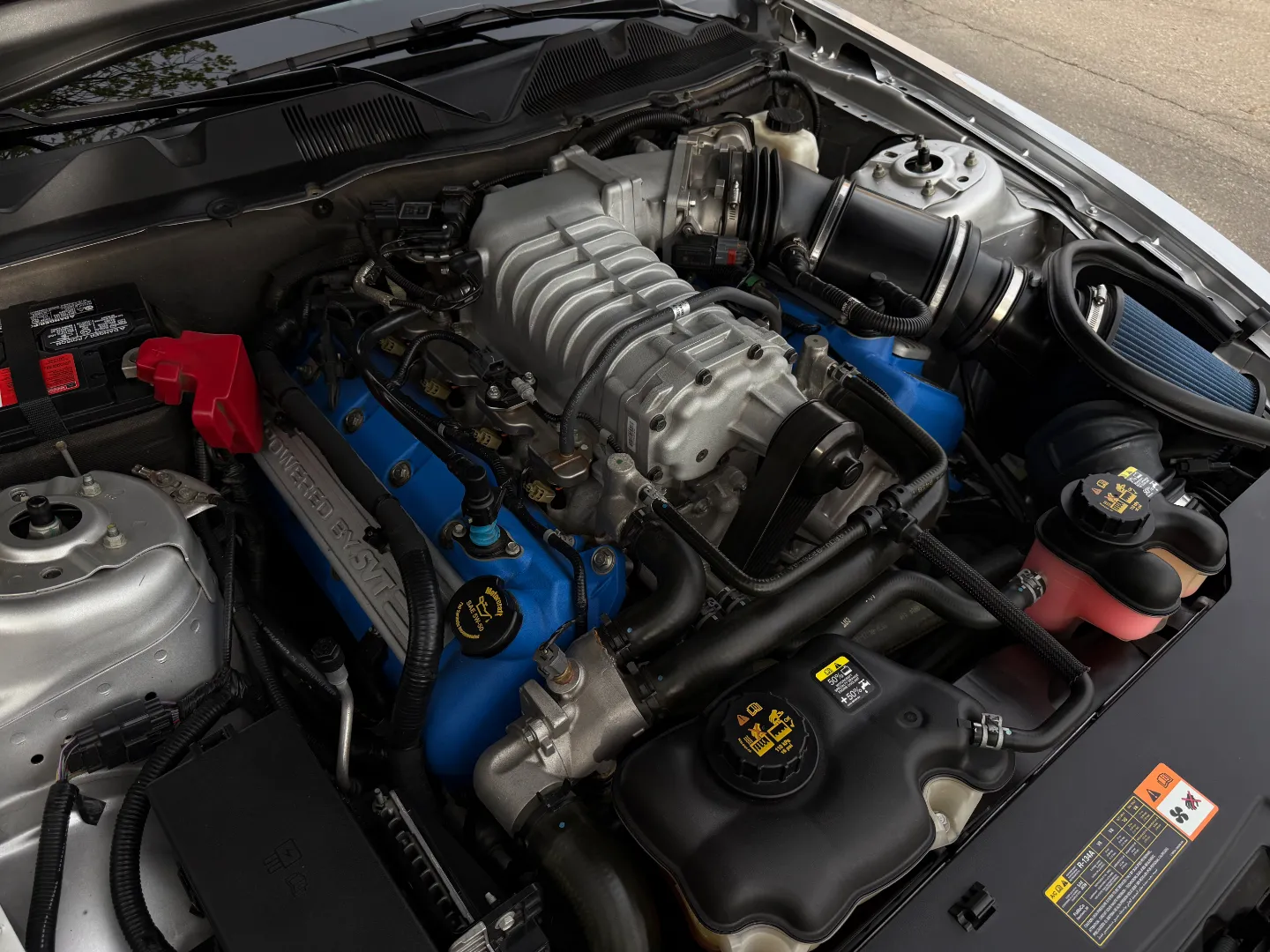Ford Mustang Shelby GT500 6 Speed Manual Convertible — photo 44