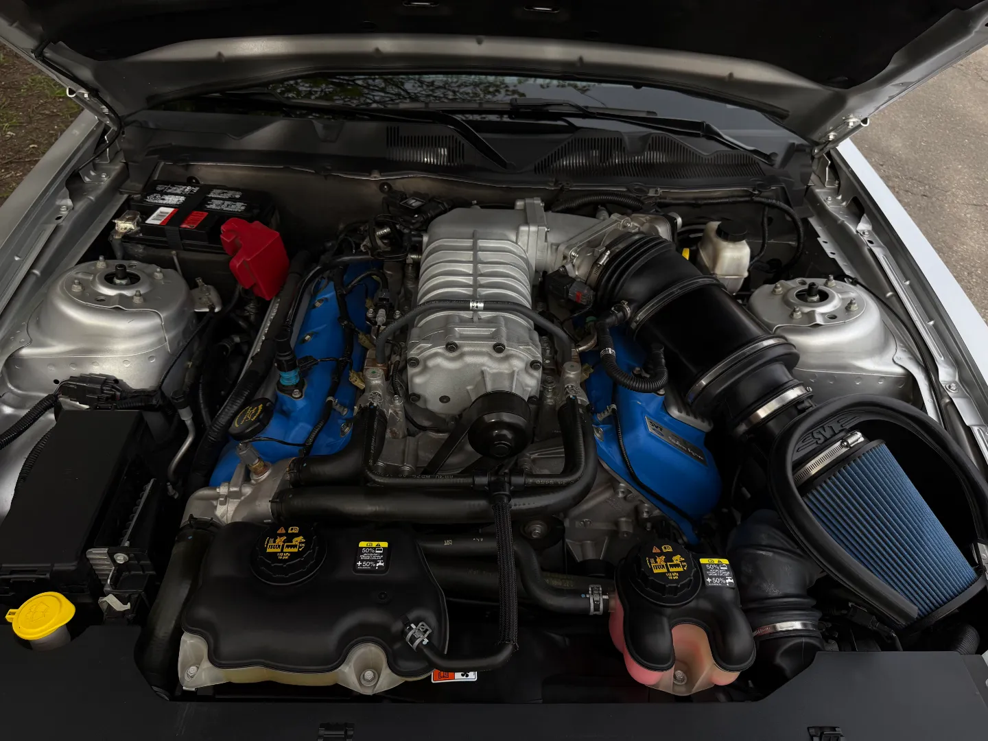 Ford Mustang Shelby GT500 6 Speed Manual Convertible — photo 45