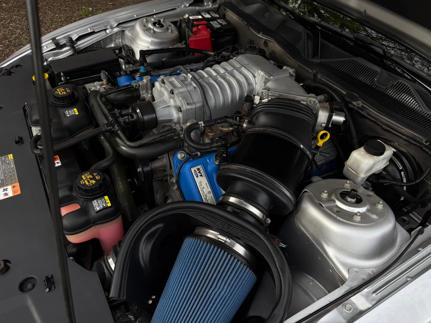Ford Mustang Shelby GT500 6 Speed Manual Convertible — photo 46