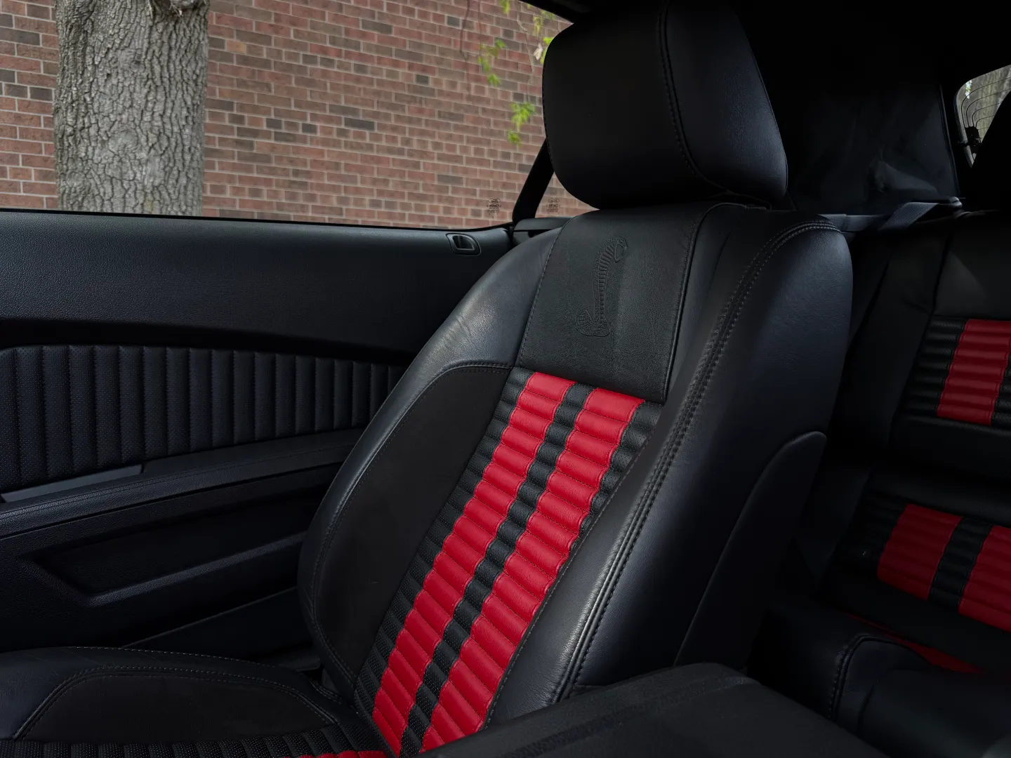 Ford Mustang Shelby GT500 6 Speed Manual Convertible — photo 83