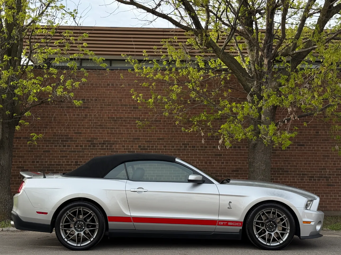 Ford Mustang Shelby GT500 6 Speed Manual Convertible — photo 98