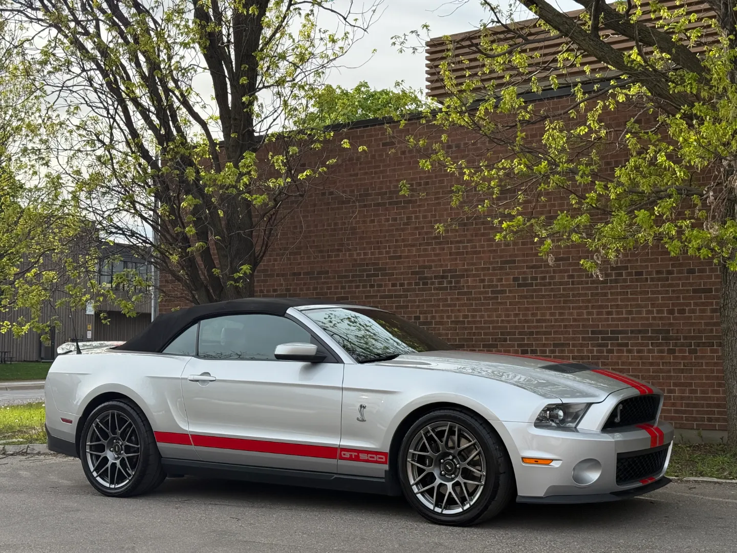Ford Mustang Shelby GT500 6 Speed Manual Convertible — photo 101