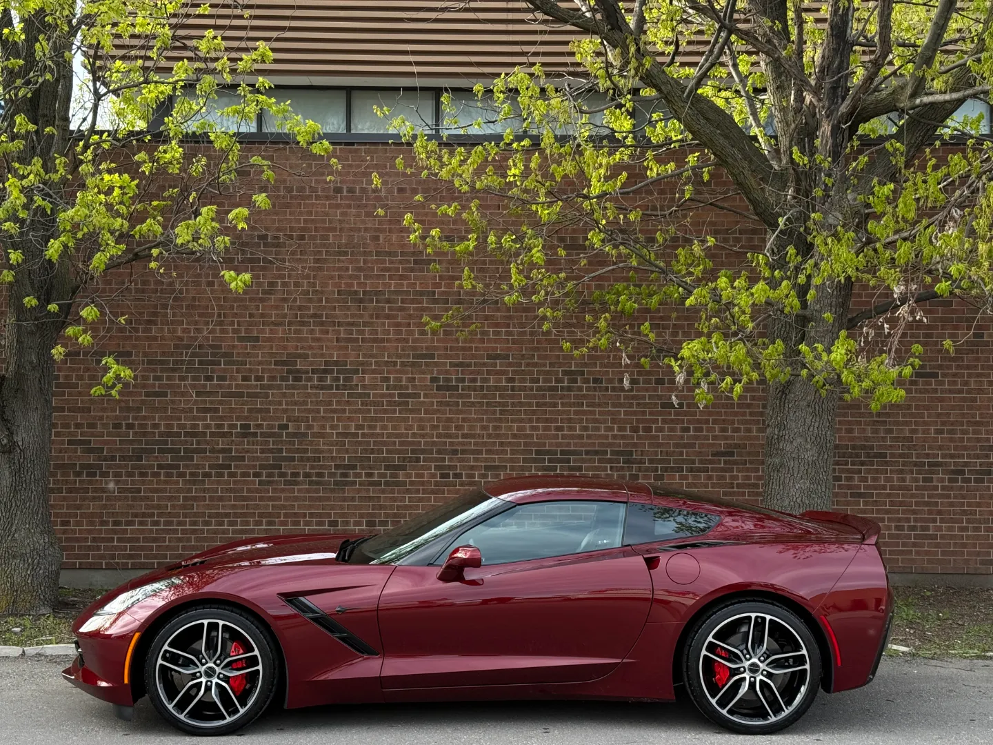 Chevrolet Corvette Stingray 3LT Coupe — photo 11