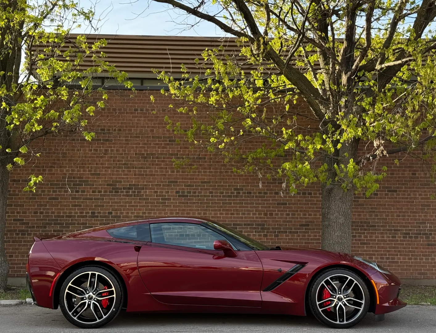Chevrolet Corvette Stingray 3LT Coupe — photo 95