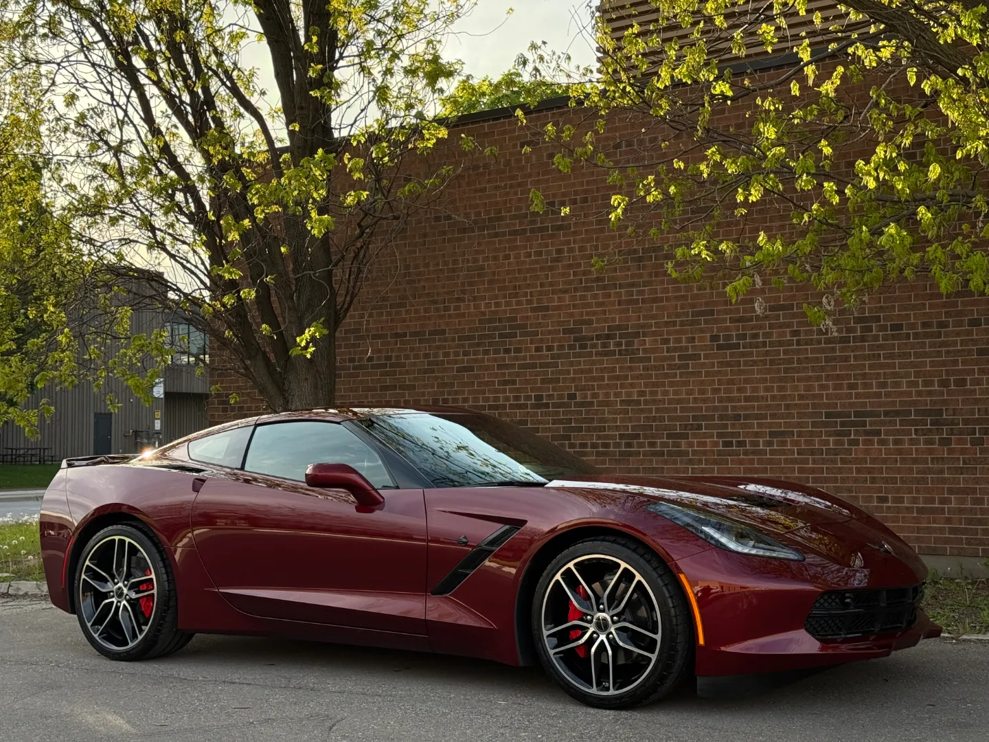 Chevrolet Corvette Stingray 3LT Coupe — photo 98