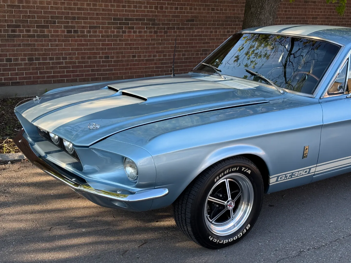 Ford Mustang Shelby GT350 Fastback 5 Speed Manual — photo 6