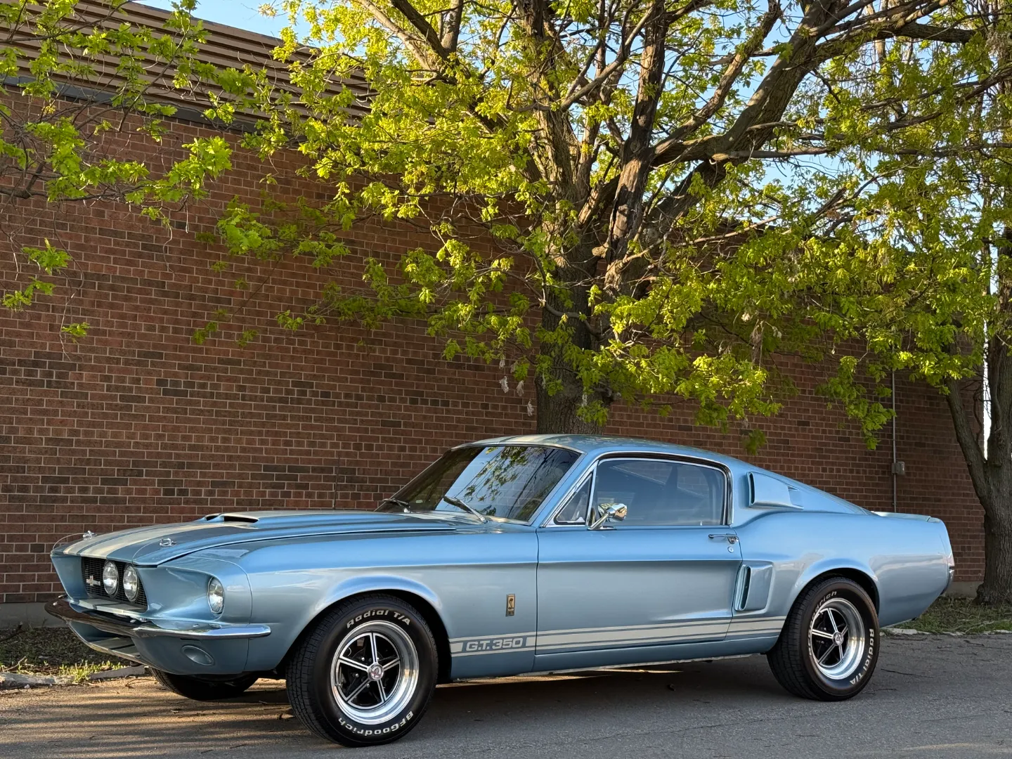Ford Mustang Shelby GT350 Fastback 5 Speed Manual — photo 11
