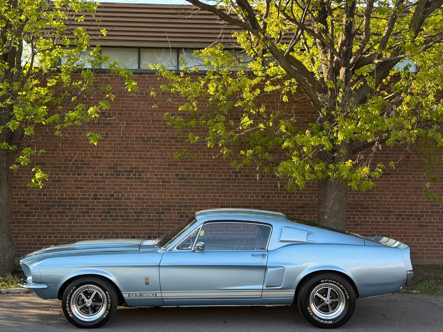 Ford Mustang Shelby GT350 Fastback 5 Speed Manual — photo 12