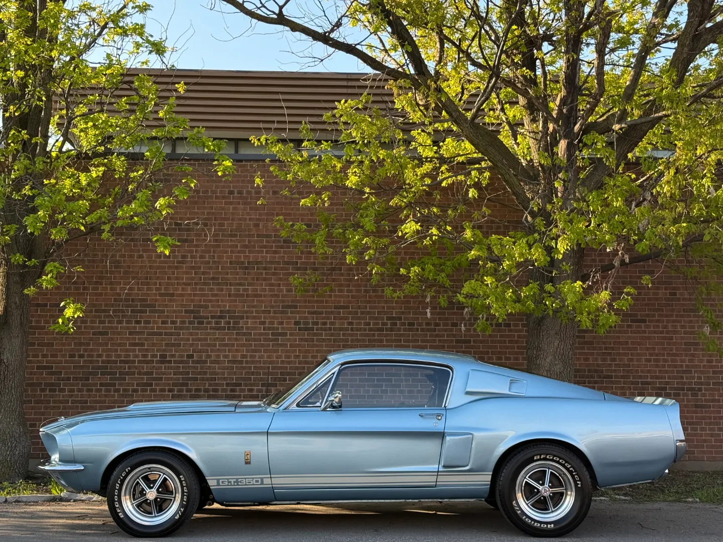 Ford Mustang Shelby GT350 Fastback 5 Speed Manual — photo 13
