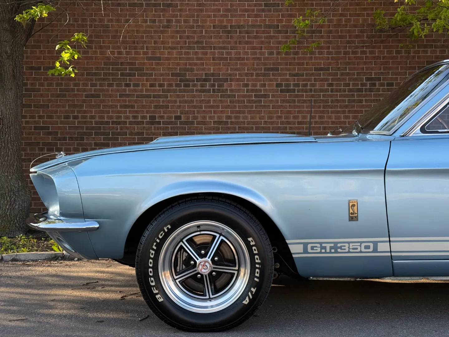 Ford Mustang Shelby GT350 Fastback 5 Speed Manual — photo 14