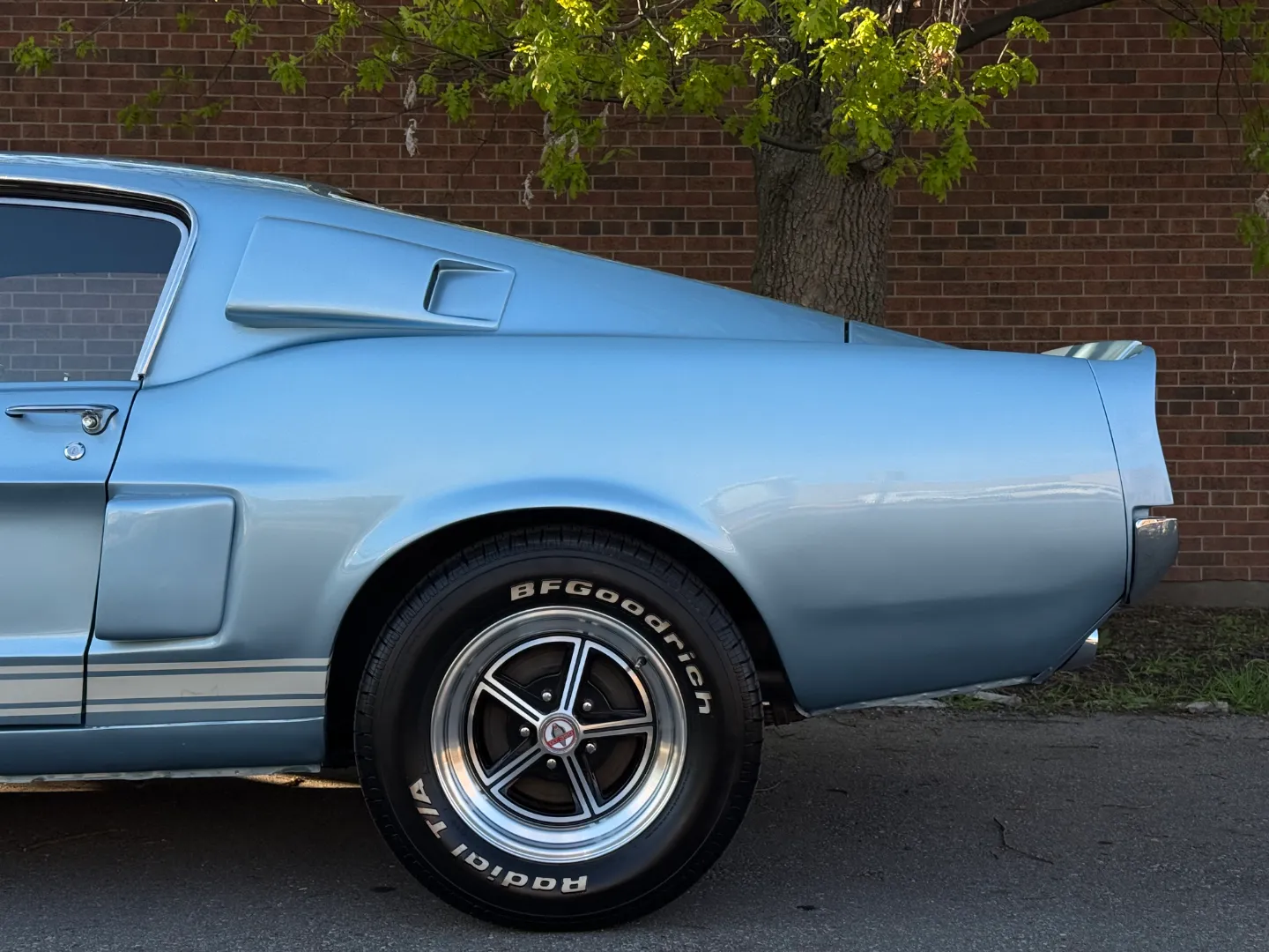 Ford Mustang Shelby GT350 Fastback 5 Speed Manual — photo 15