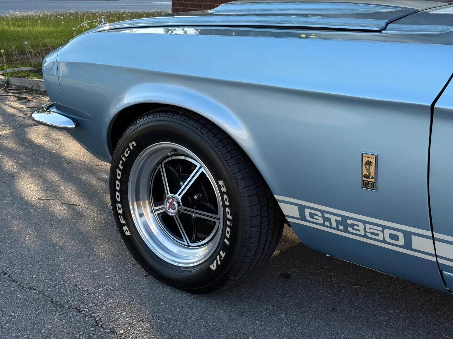 Ford Mustang Shelby GT350 Fastback 5 Speed Manual — photo 16