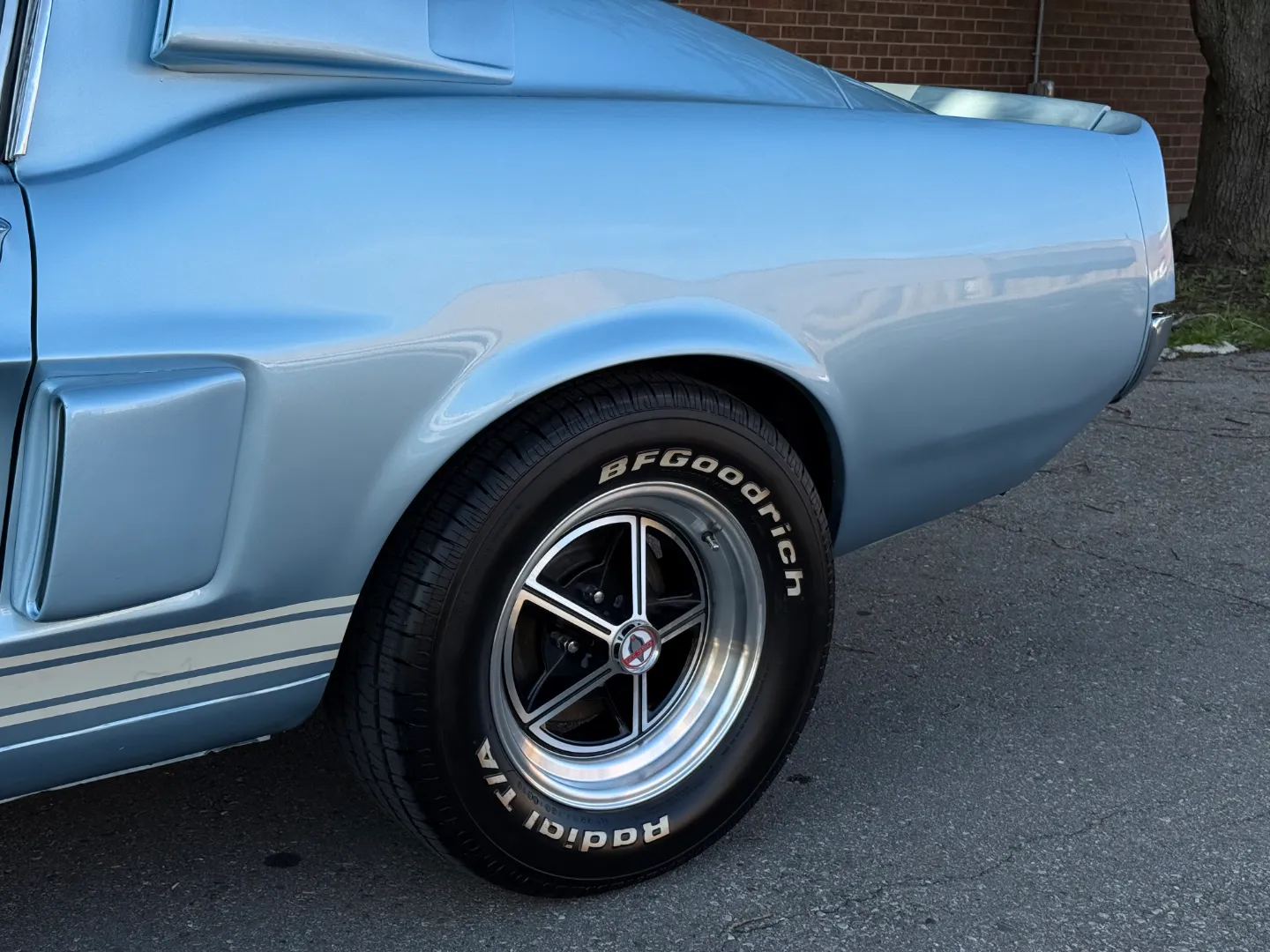 Ford Mustang Shelby GT350 Fastback 5 Speed Manual — photo 17