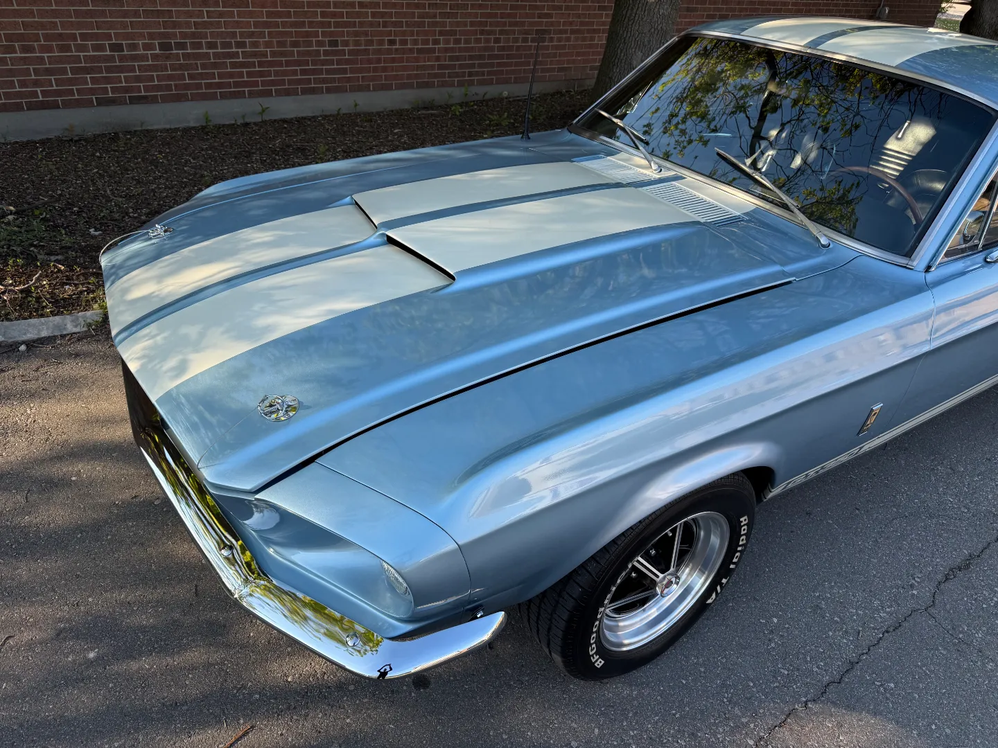 Ford Mustang Shelby GT350 Fastback 5 Speed Manual — photo 21