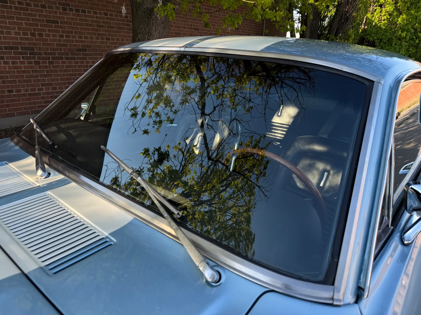 Ford Mustang Shelby GT350 Fastback 5 Speed Manual — photo 22