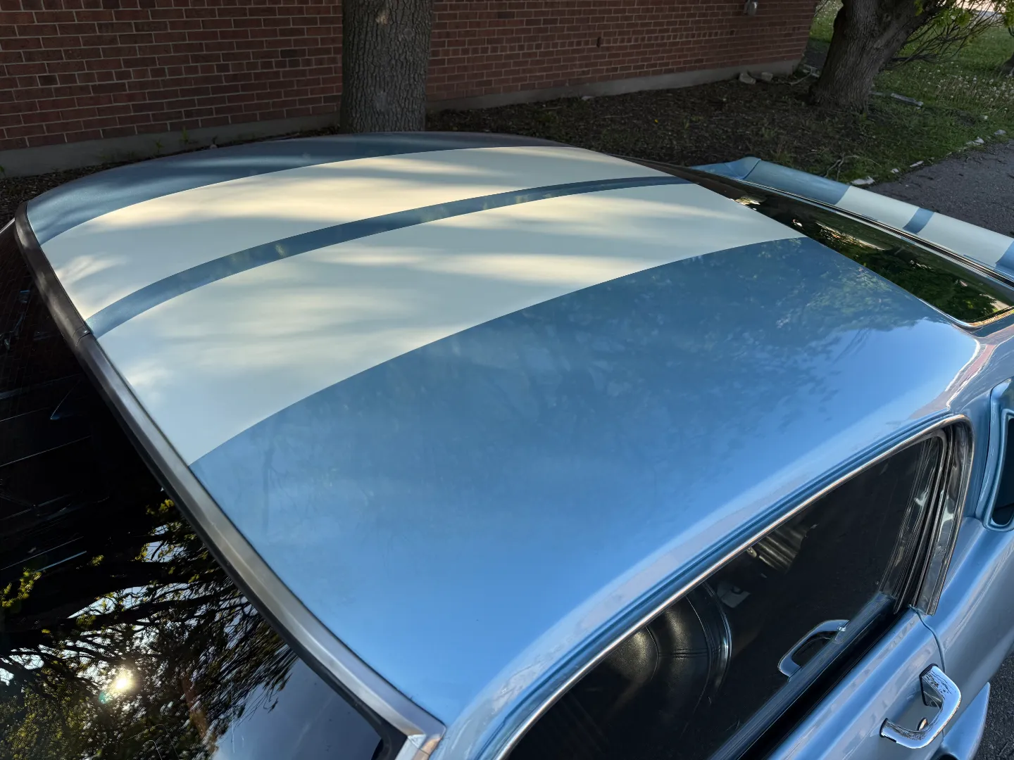Ford Mustang Shelby GT350 Fastback 5 Speed Manual — photo 24