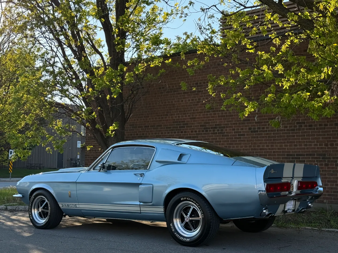 Ford Mustang Shelby GT350 Fastback 5 Speed Manual — photo 27