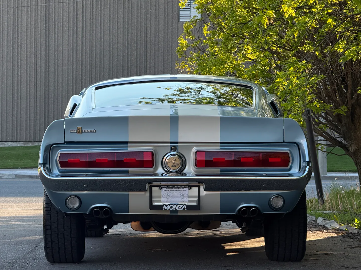 Ford Mustang Shelby GT350 Fastback 5 Speed Manual — photo 30