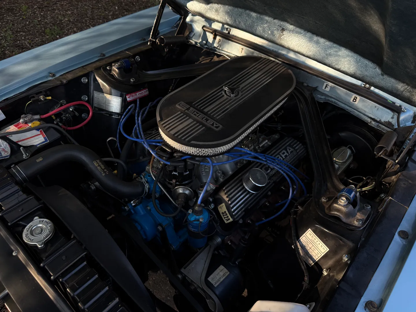 Ford Mustang Shelby GT350 Fastback 5 Speed Manual — photo 42