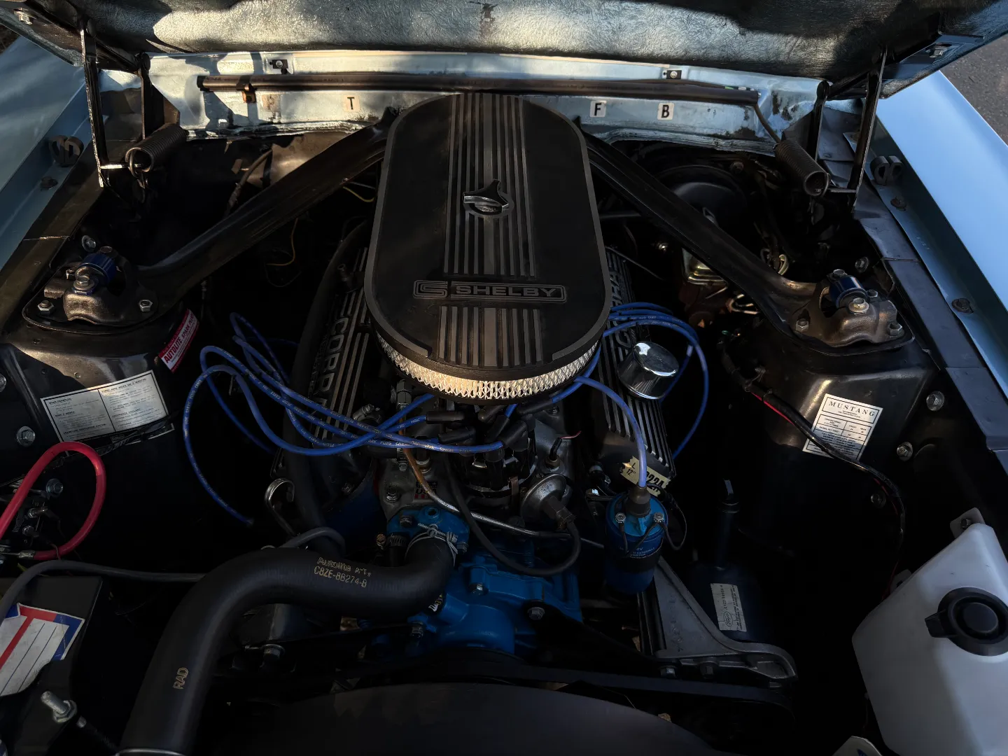 Ford Mustang Shelby GT350 Fastback 5 Speed Manual — photo 43