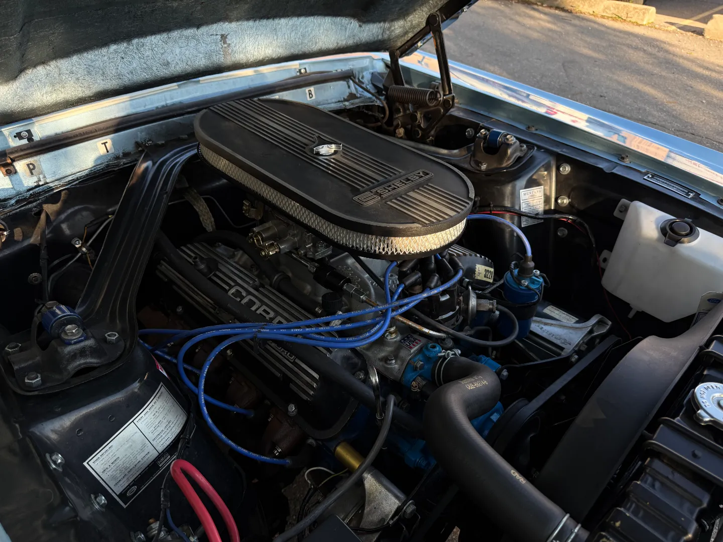 Ford Mustang Shelby GT350 Fastback 5 Speed Manual — photo 44
