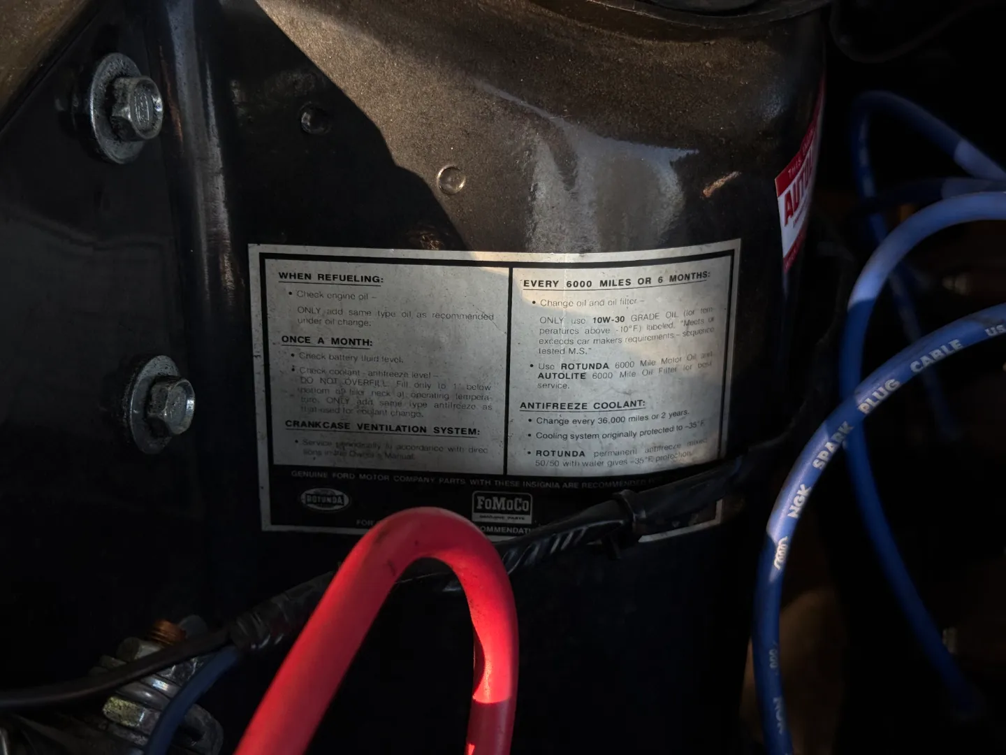 Ford Mustang Shelby GT350 Fastback 5 Speed Manual — photo 49