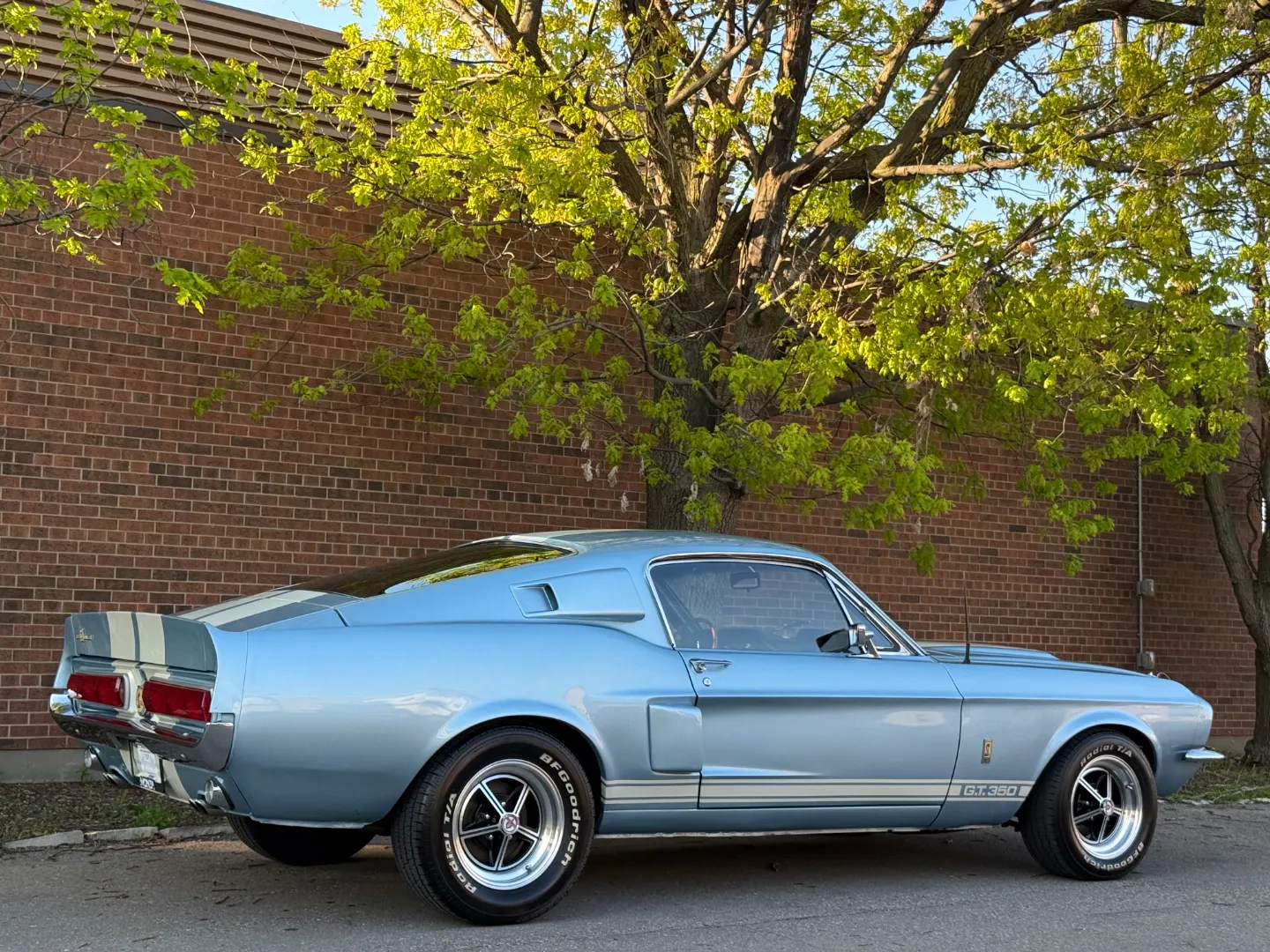 Ford Mustang Shelby GT350 Fastback 5 Speed Manual — photo 80