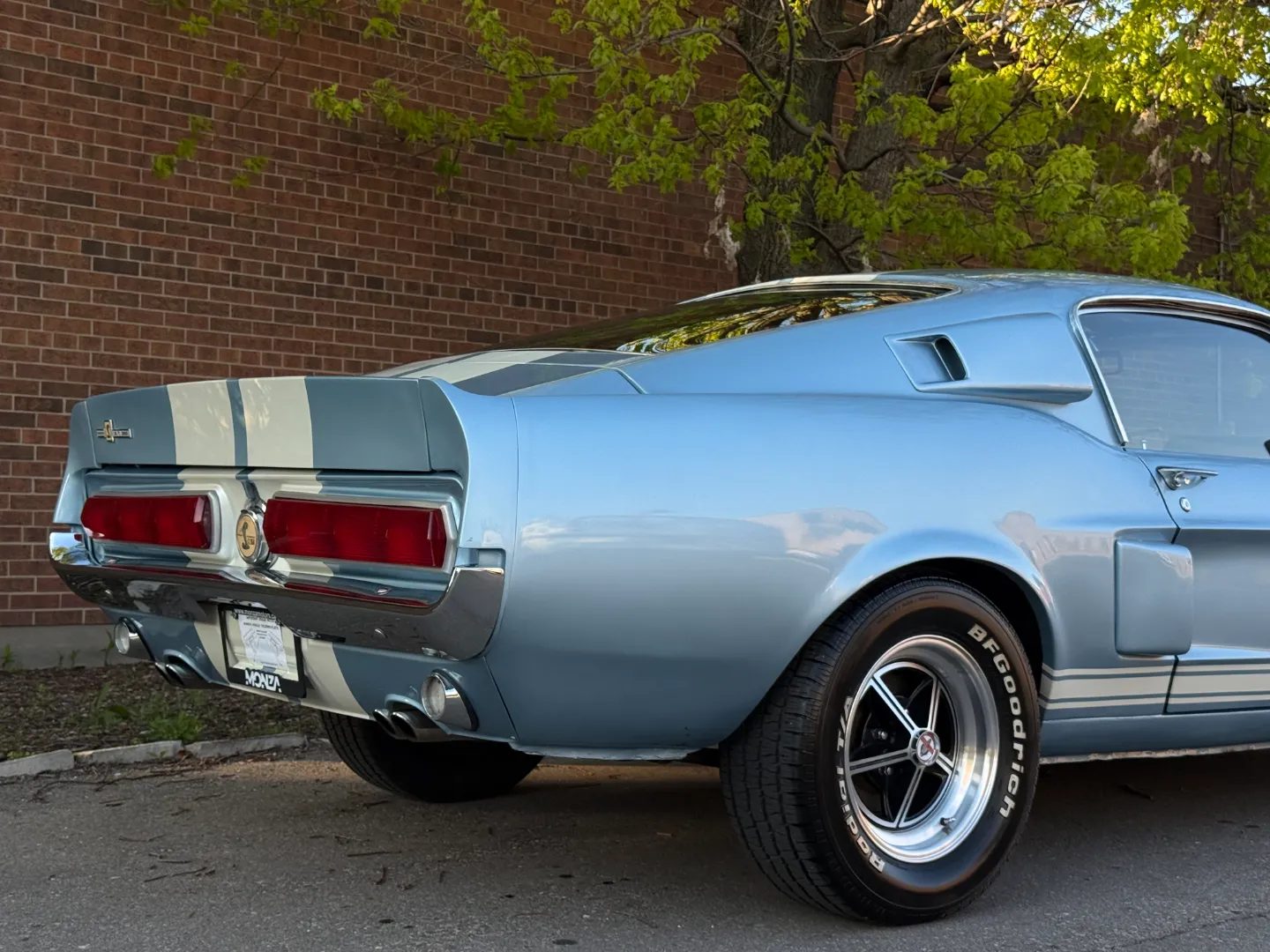 Ford Mustang Shelby GT350 Fastback 5 Speed Manual — photo 81