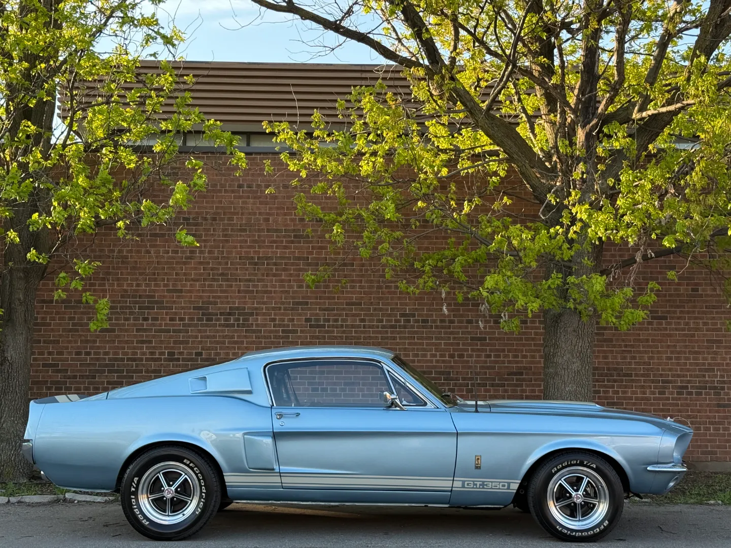 Ford Mustang Shelby GT350 Fastback 5 Speed Manual — photo 82