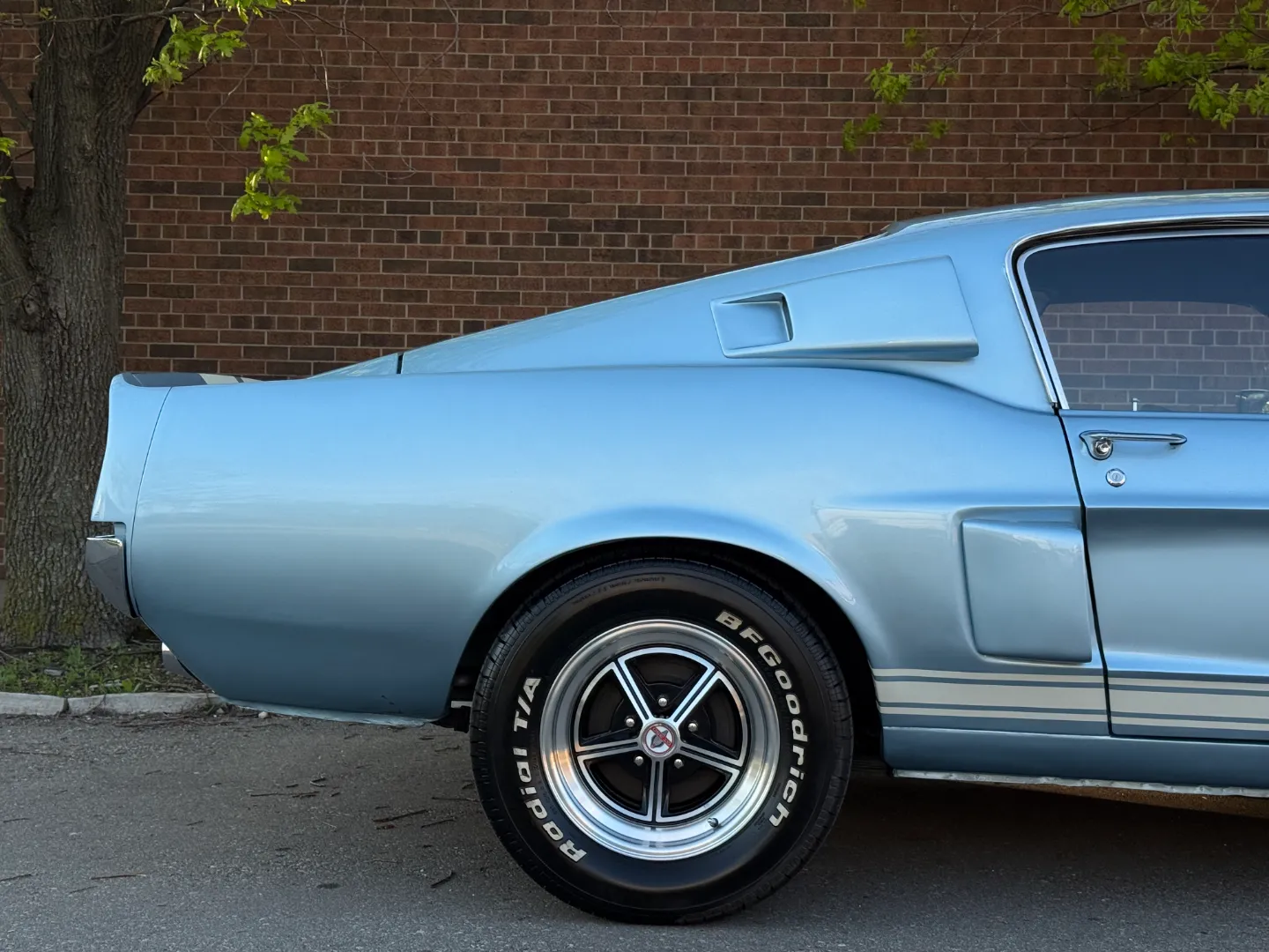 Ford Mustang Shelby GT350 Fastback 5 Speed Manual — photo 83