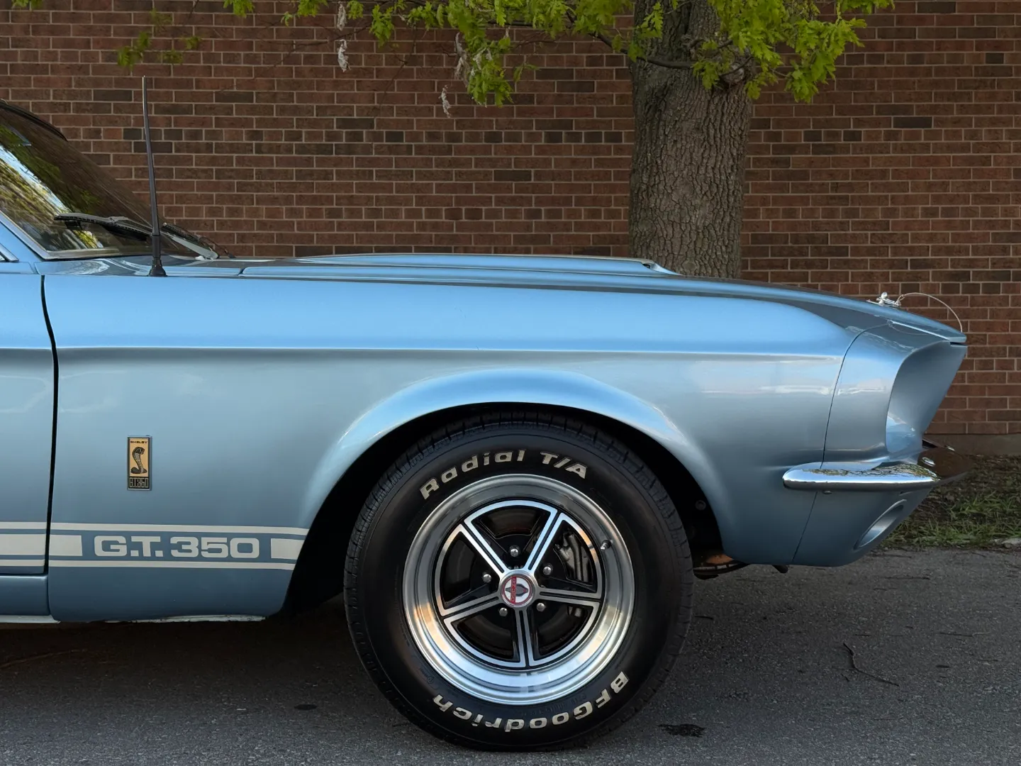 Ford Mustang Shelby GT350 Fastback 5 Speed Manual — photo 84